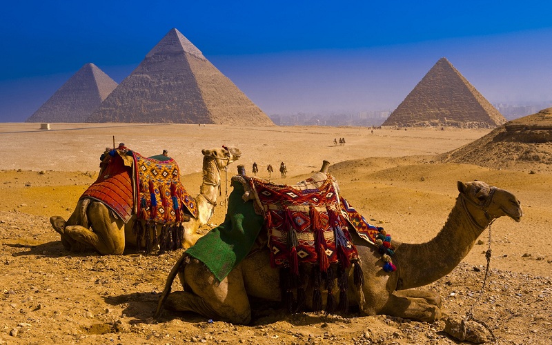 Когда лучше купить путевку в Египет
